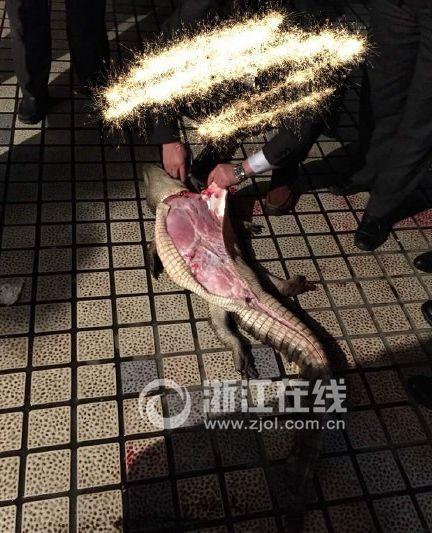 网传杭州萧山土豪喜宴吃鳄鱼(图)