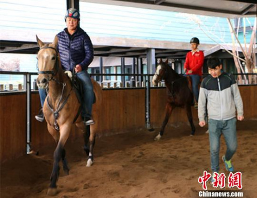 图为游客在驯马师的指引下骑汗血宝马。　耿丹丹 摄