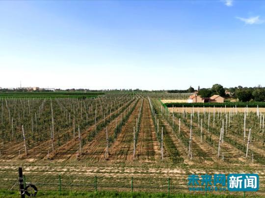 点击进入下一页