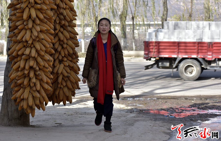 _DSC1534.jpg _DSC1534.jpg