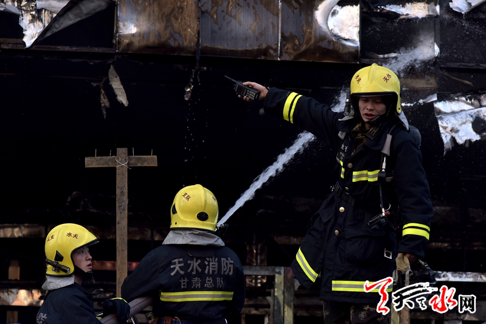 _DSC2956.jpg _DSC2956.jpg