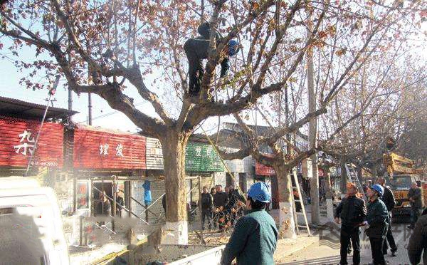 020908151fae9102e03821.jpg timg.jpg