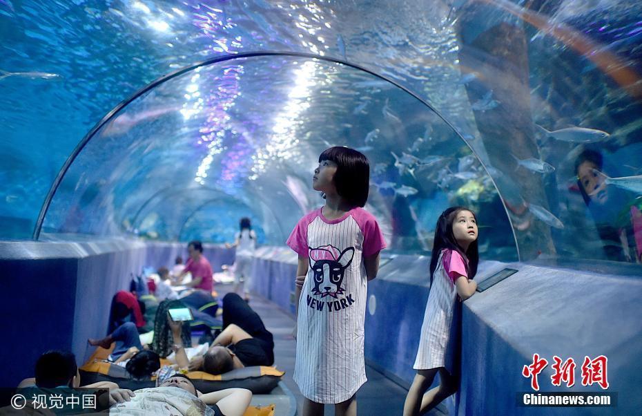 夜宿海洋馆！探秘海底世界奇妙夜
