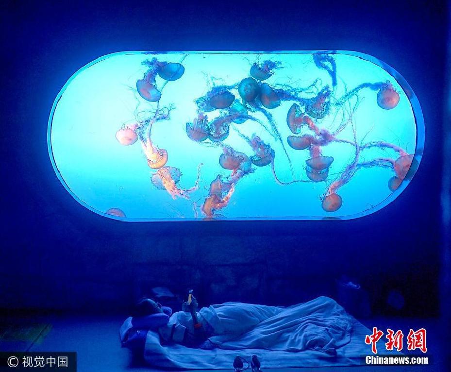 夜宿海洋馆！探秘海底世界奇妙夜