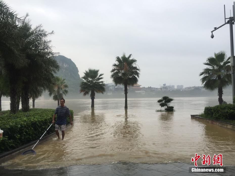 广西柳江河出现小洪峰 市民江边溜狗钓鱼抓虾