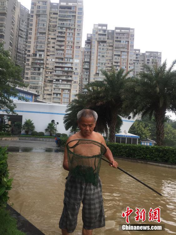 广西柳江河出现小洪峰 市民江边溜狗钓鱼抓虾