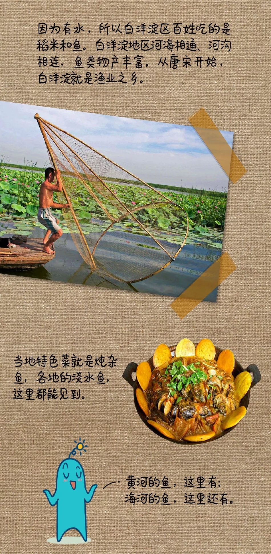 “白洋淀”还真跟白羊有关系...... | 图图是道