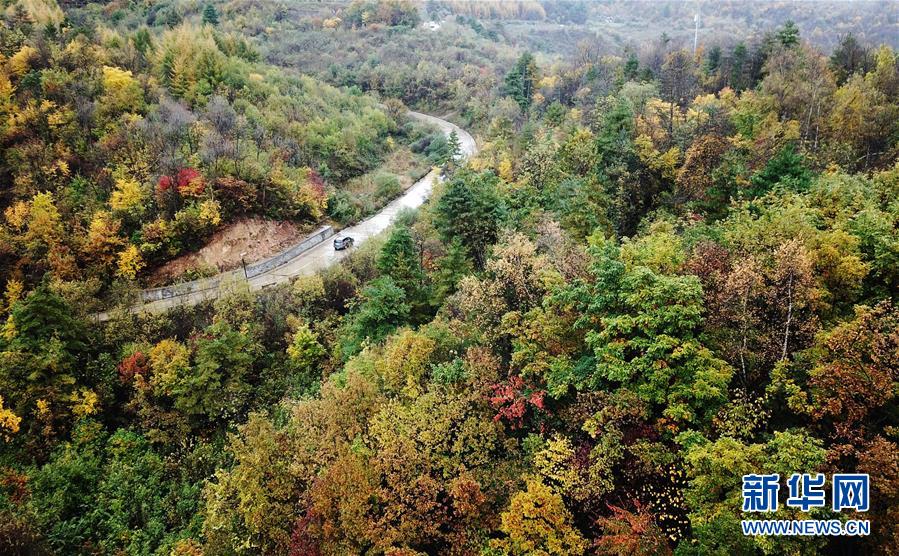 (美丽中国)(4)甘肃两当:云屏三峡秋意浓