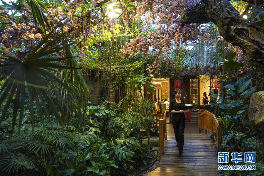 （新华全媒头条·图文互动）（7）应对挑战变中求稳 高质量发展积蓄后劲——从三季度数据看经济运行大势 