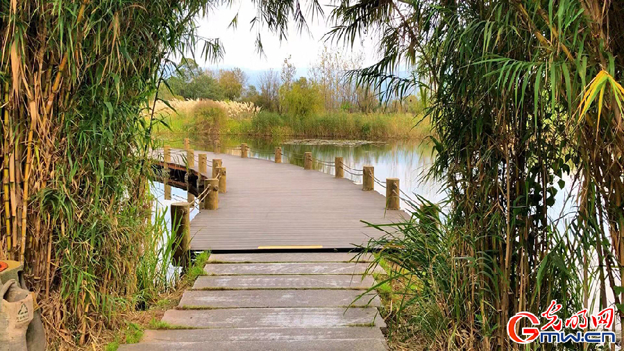 【脱贫攻坚在凉山】生态修复让邛海湿地“胖”起来 【脱贫攻坚在凉山】生态修复让邛海湿地“胖”起来