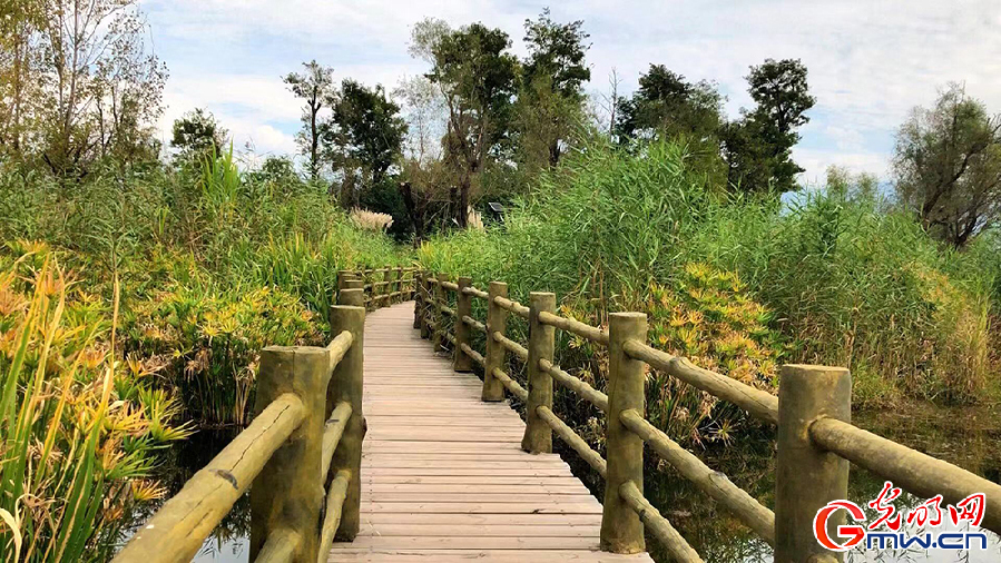 【脱贫攻坚在凉山】生态修复让邛海湿地“胖”起来 【脱贫攻坚在凉山】生态修复让邛海湿地“胖”起来