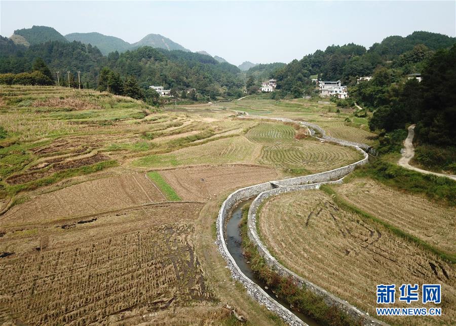 （新华全媒头条·图文互动）（8）八桂大地起春潮——以习近平同志为核心的党中央关心广西发展纪实