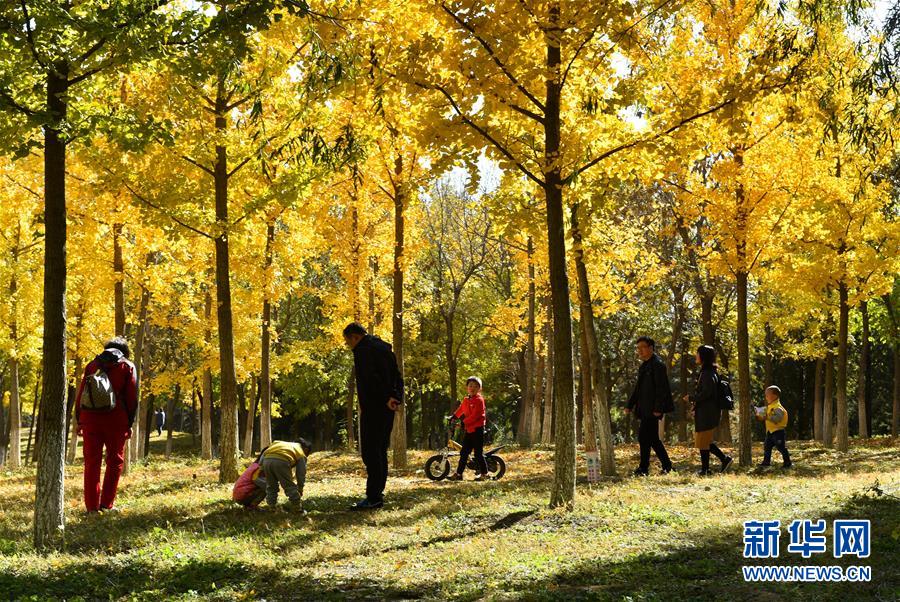 （新华全媒头条·图文互动）（11）北京城市副中心：美好蓝图 徐徐打开