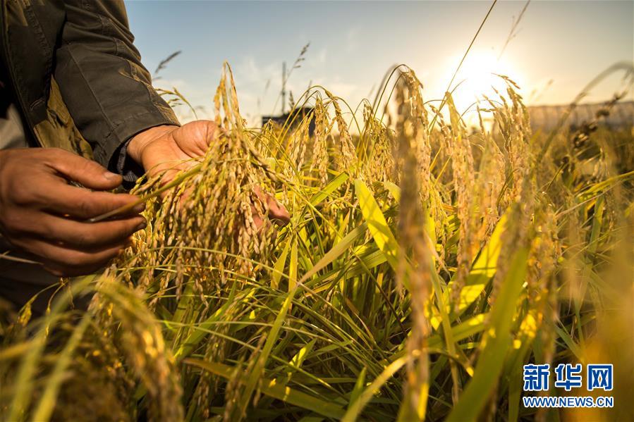 (新华全媒头条·图文互动)(5)上下同心再出发——习近平总书记同出席2019年全国两会人大代表、政协委员共商国是纪实