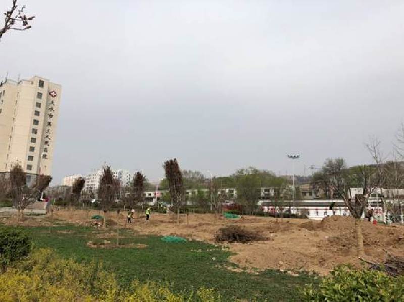 mmexport1554176621125