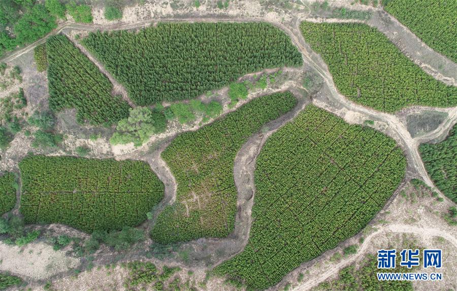 （新华全媒头条·北京世园会·图文互动）（8）共绘人类生态文明美丽画卷——从北京世园会看中国绿色发展的“世界贡献”