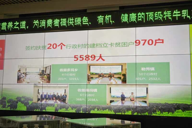 【脱贫攻坚地方行•图组】高原之上，扶贫花开——甘南州多措并举，推进脱贫攻坚