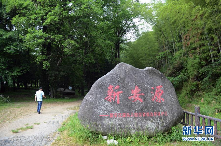 (新华全媒头条·图文互动)(3)问“江”哪得清如许——生态文明建设的“新安江实践”