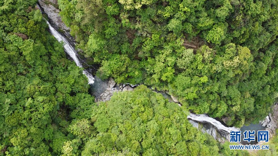 (新华全媒头条·图文互动)(2)问“江”哪得清如许——生态文明建设的“新安江实践”