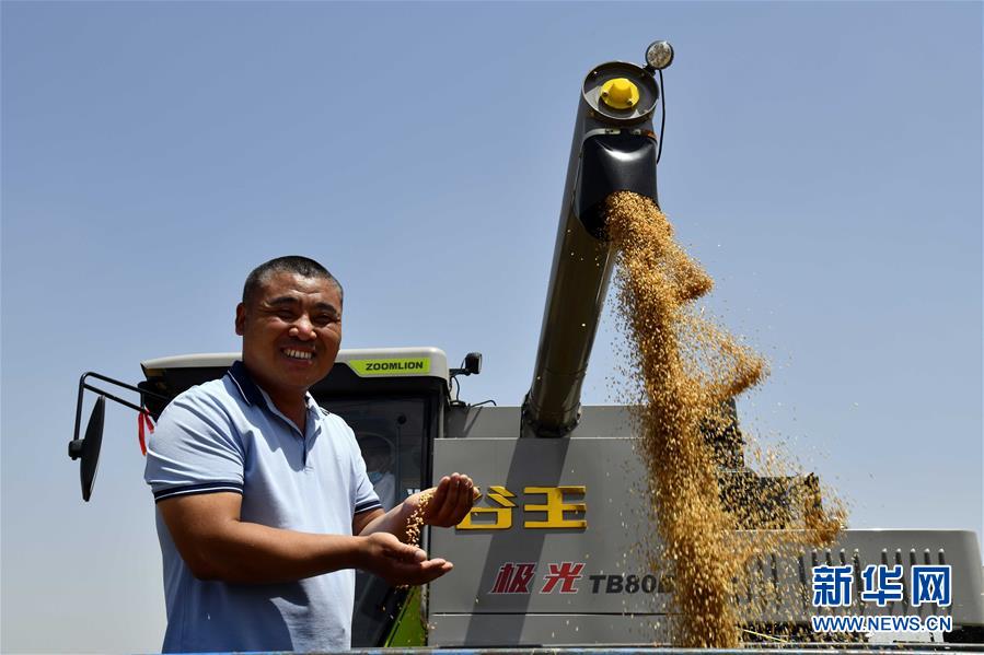 （新华全媒头条·图文互动）（13）不寻常的耕耘，不一般的收获——我国夏粮主产区夏收观察