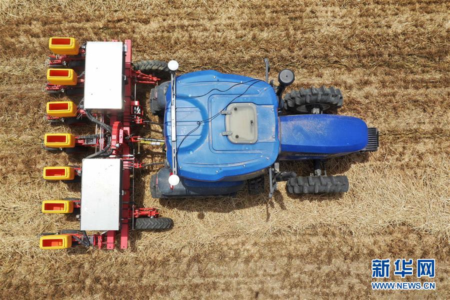 （新华全媒头条·图文互动）（15）不寻常的耕耘，不一般的收获——我国夏粮主产区夏收观察