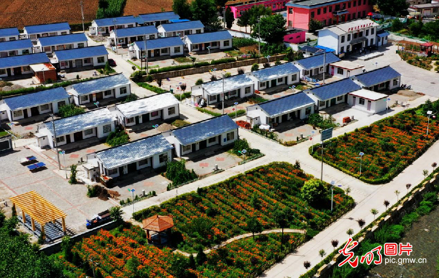 贫困村里唯一留守创业的年轻人