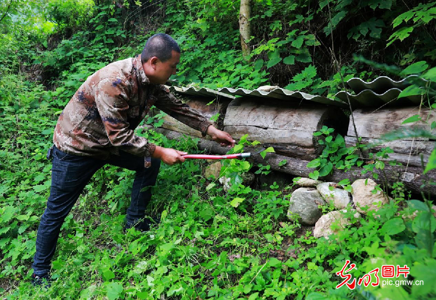 贫困村里唯一留守创业的年轻人