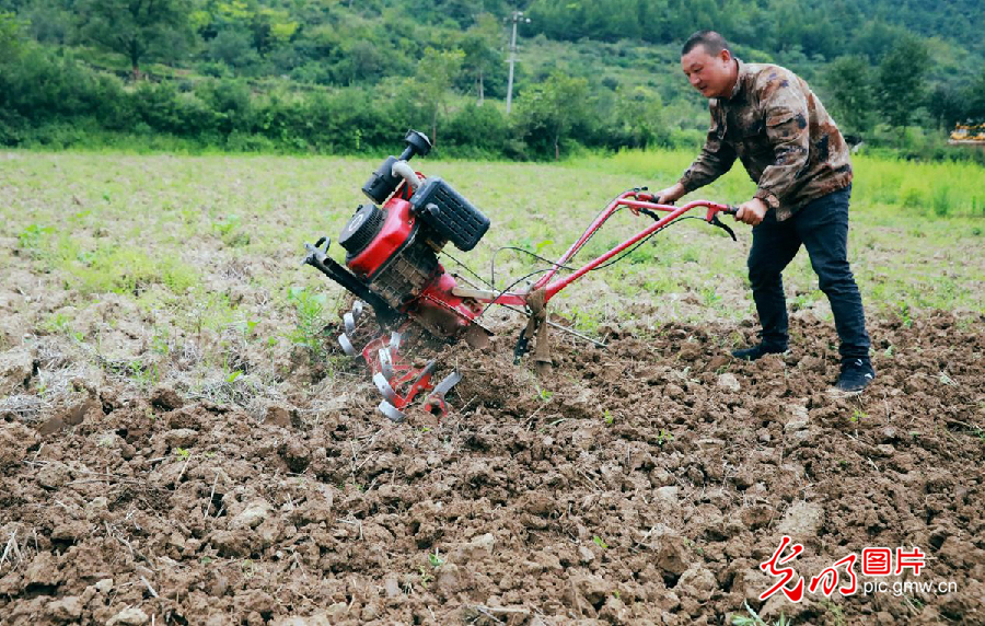 贫困村里唯一留守创业的年轻人