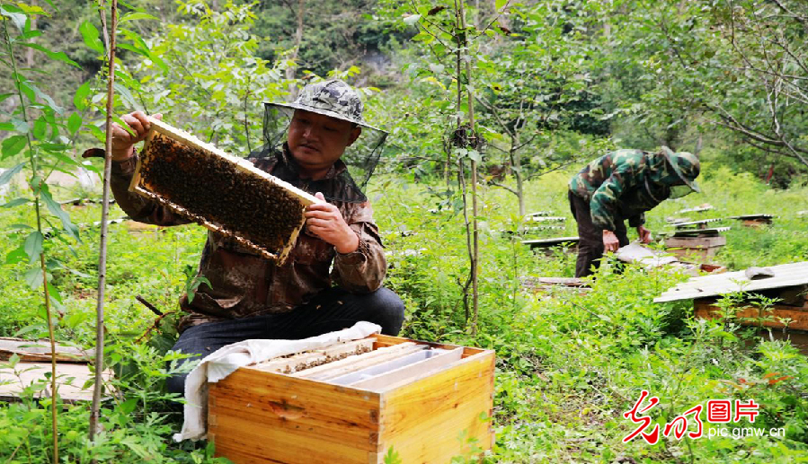 贫困村里唯一留守创业的年轻人