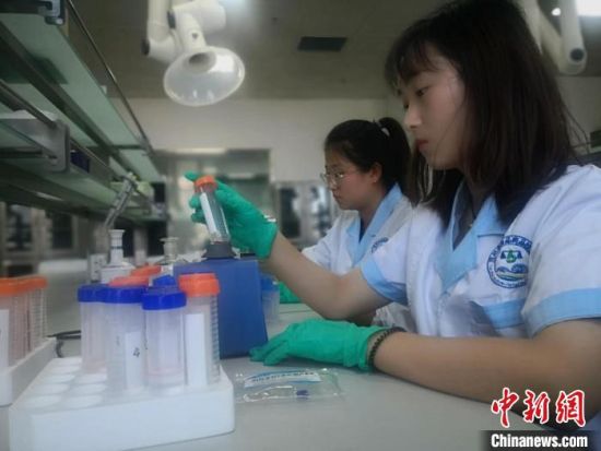 图为兰州市食品药品检验所工作人员进行食品检测。 (资料图) 史静静 摄