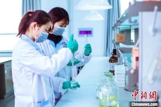 图为兰州市食品药品检验所工作人员进行检测。　(资料图) 史静静 摄