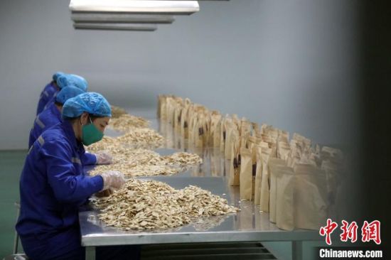 图为工作人员分拣包装中药饮片。 魏建军 摄