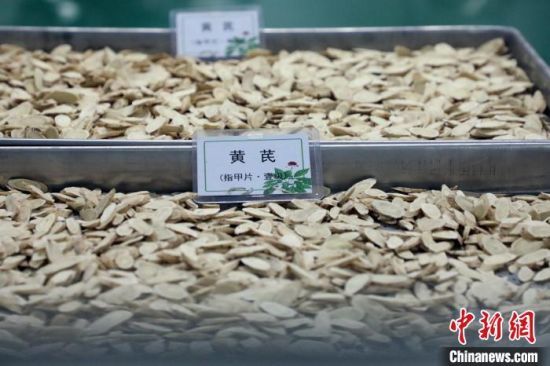 图为切割后的黄芪片。 魏建军 摄