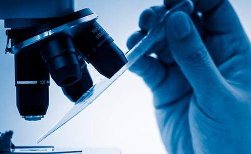 202011100849528561.png?x-oss-process=style/w10