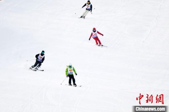 图为参赛选手进行角逐。 杨艳敏 摄