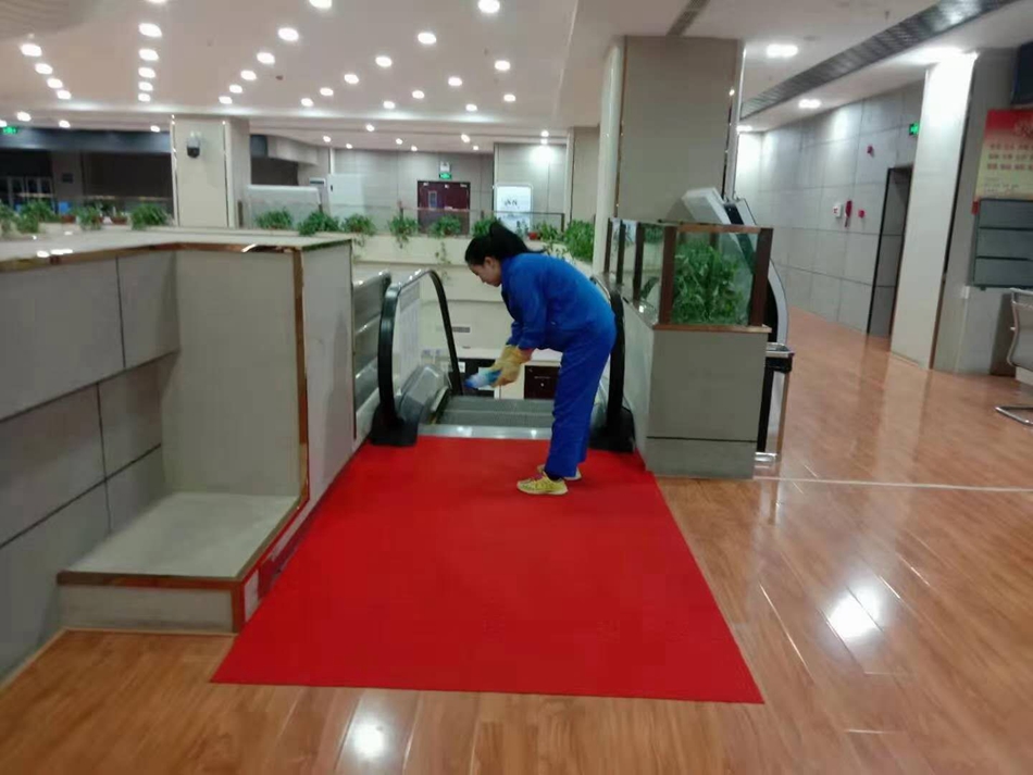 downloadjpg (33).jpg