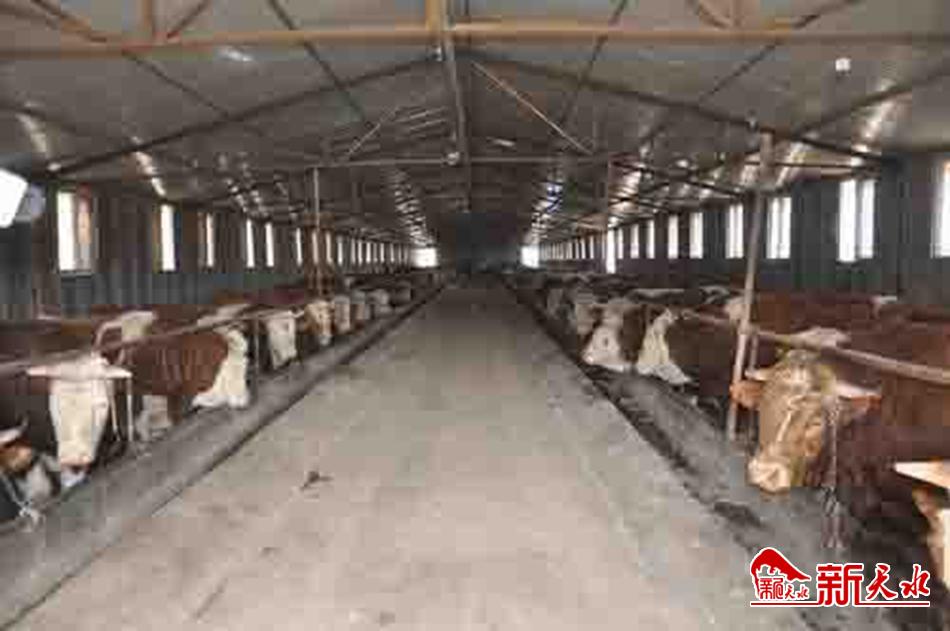 u=1700159067,1299573000&fm=15&gp=0.jpg u=1700159067,1299573000&fm=15&gp=0.jpg