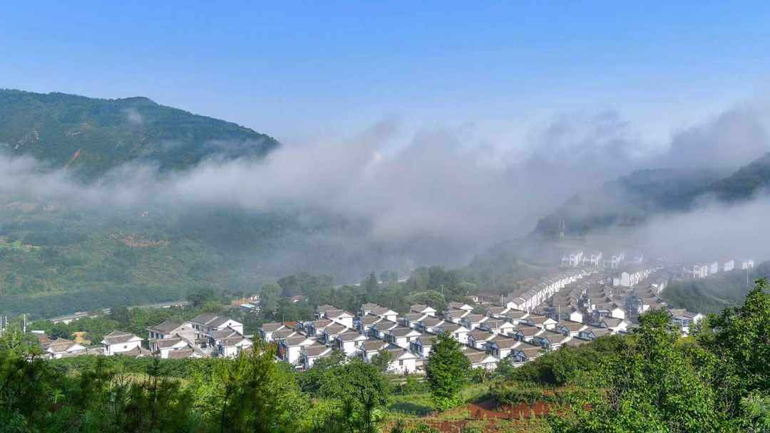 WechatIMG870.jpeg?x-oss-process=style/w10