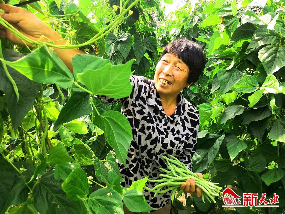 downloadjpeg (2).jpg