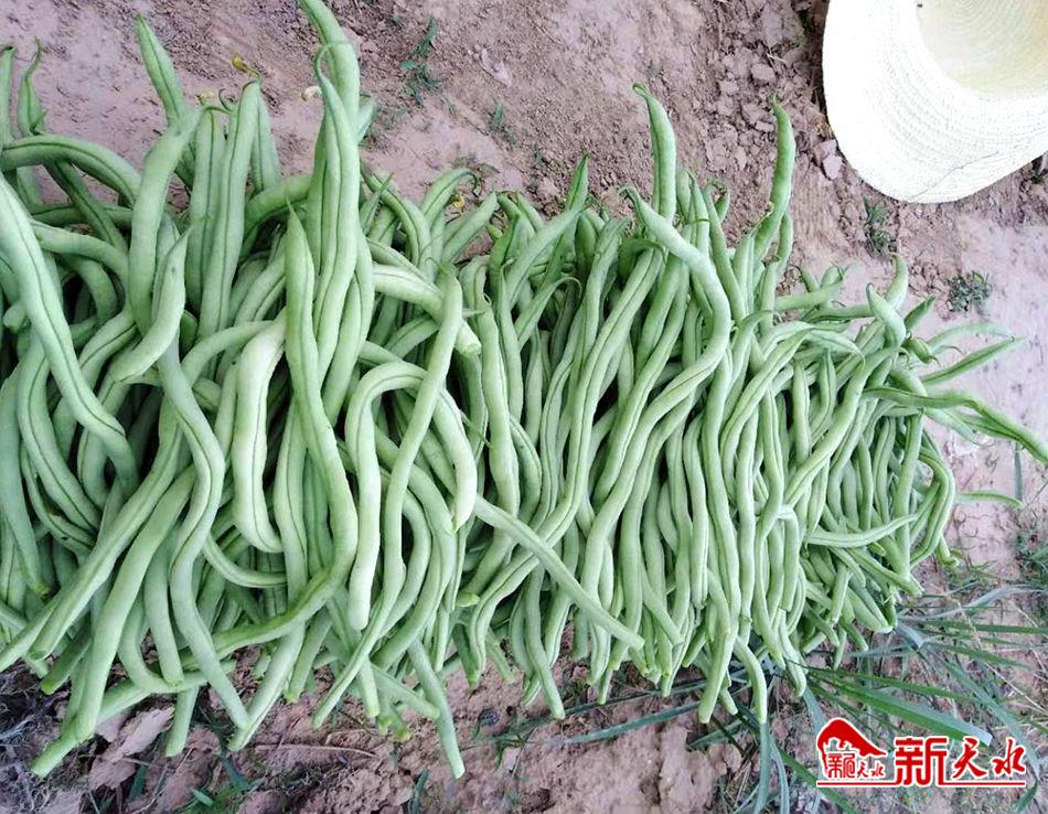 downloadjpeg (4).jpg