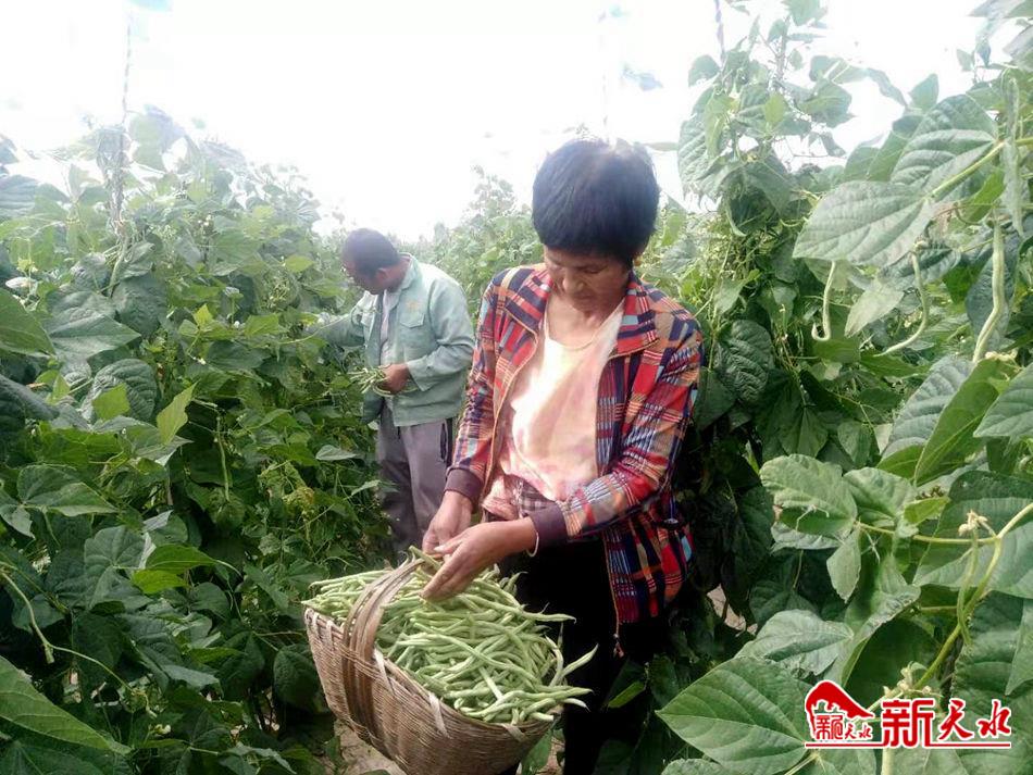 downloadjpeg (1).jpg