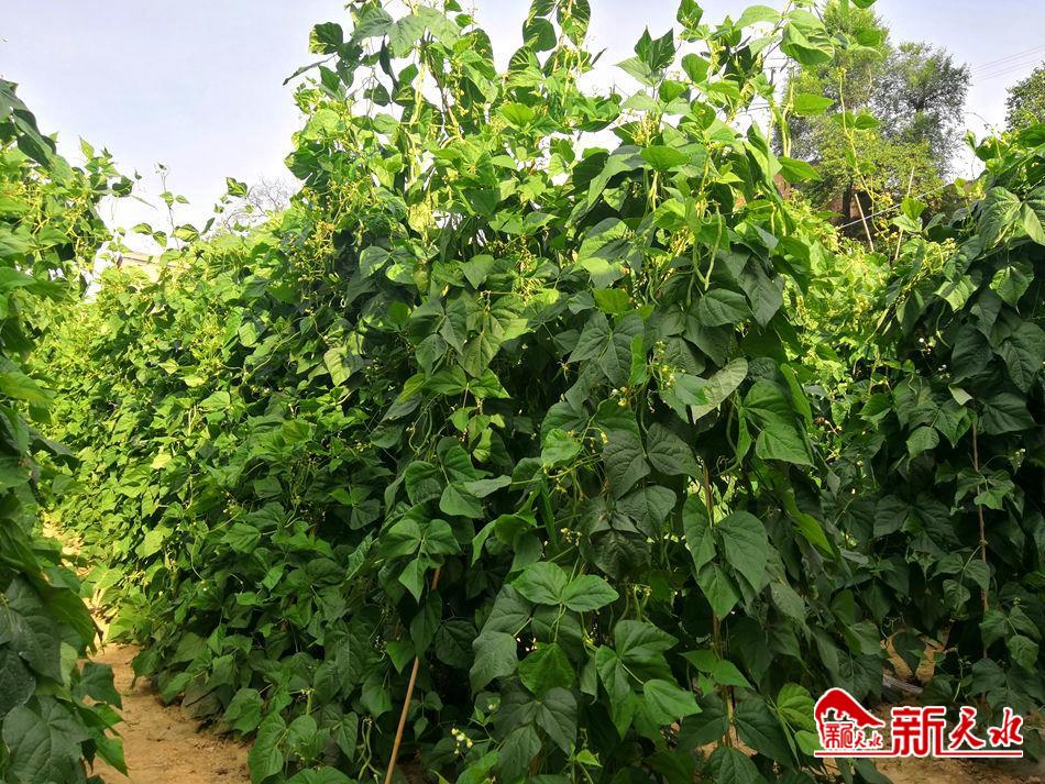 downloadjpeg (3).jpg