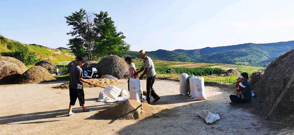 downloadjpg (23).jpg