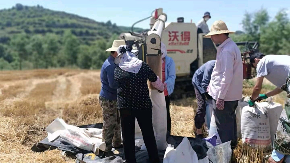 downloadjpg (32).jpg