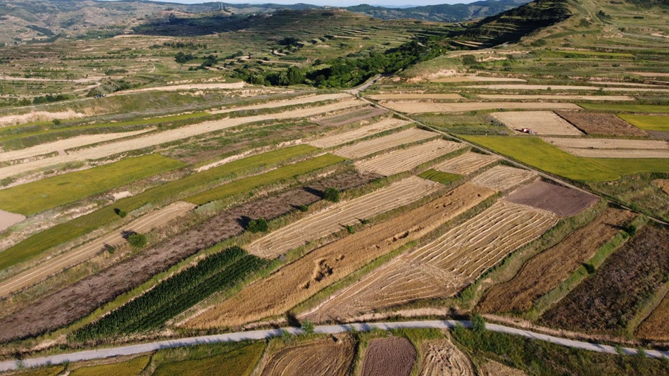 downloadjpg (30).jpg