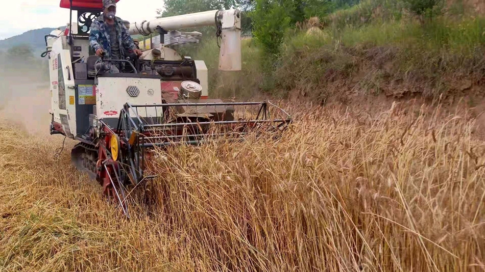 downloadjpg (31).jpg