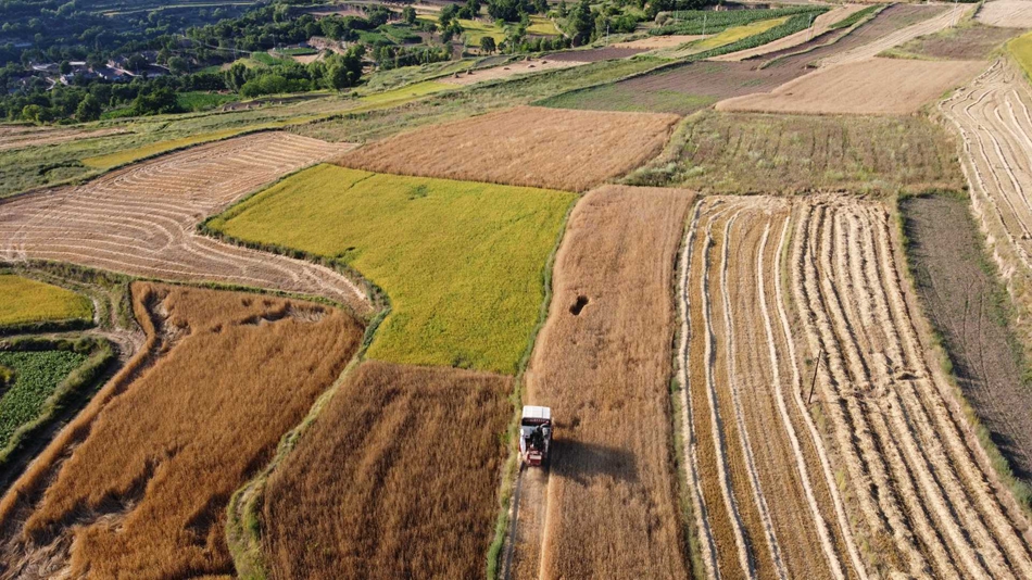 downloadjpg (24).jpg