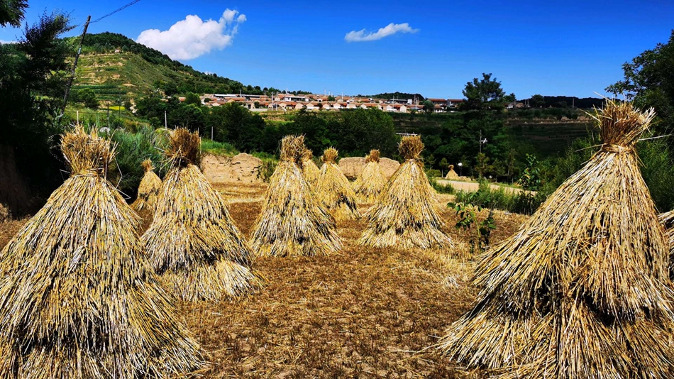 downloadjpg (36).jpg