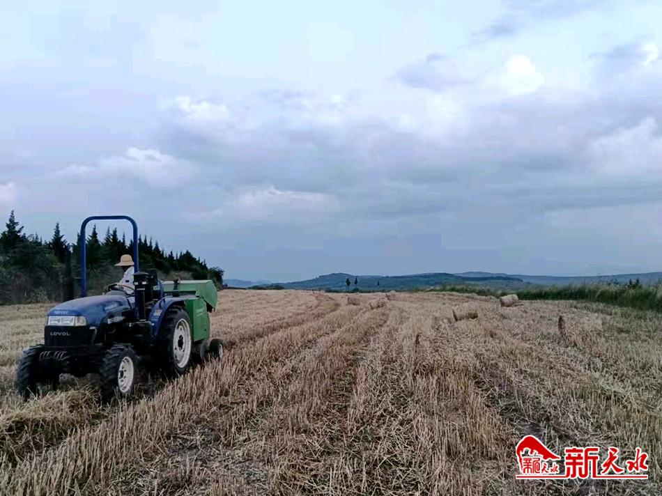 downloadjpg (20).jpg