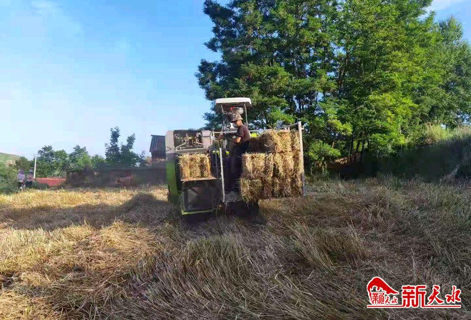 downloadjpg (22).jpg